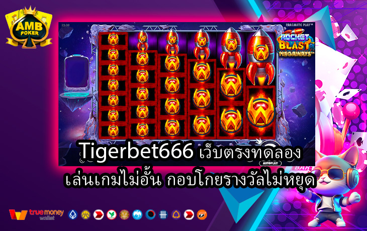 Tigerbet666-เว็บตรงทดลองเล่นเกมไม่อั้น-กอบโกยรางวัลไม่หยุด.jpg