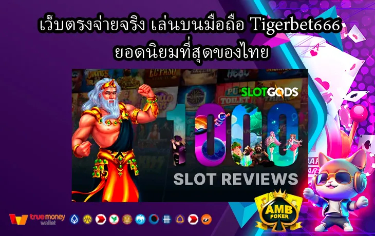 เว็บตรงจ่ายจริง-เล่นบนมือถือ-Tigerbet666-ยอดนิยมที่สุดของไทย-1.webp